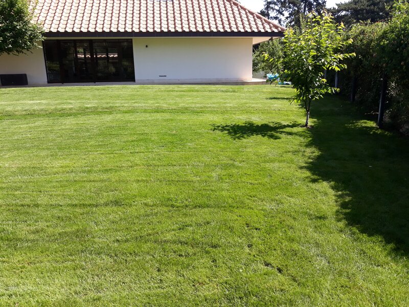 Rdd Garden - Amenajare, intretinere gradini