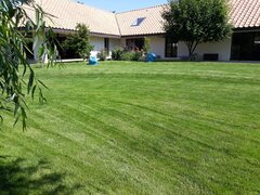 Rdd Garden - Amenajare, intretinere gradini