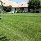 Rdd Garden - Amenajare, intretinere gradini