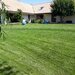 Rdd Garden - Amenajare, intretinere gradini