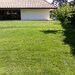 Rdd Garden - Amenajare, intretinere gradini