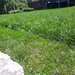 Rdd Garden - Amenajare, intretinere gradini